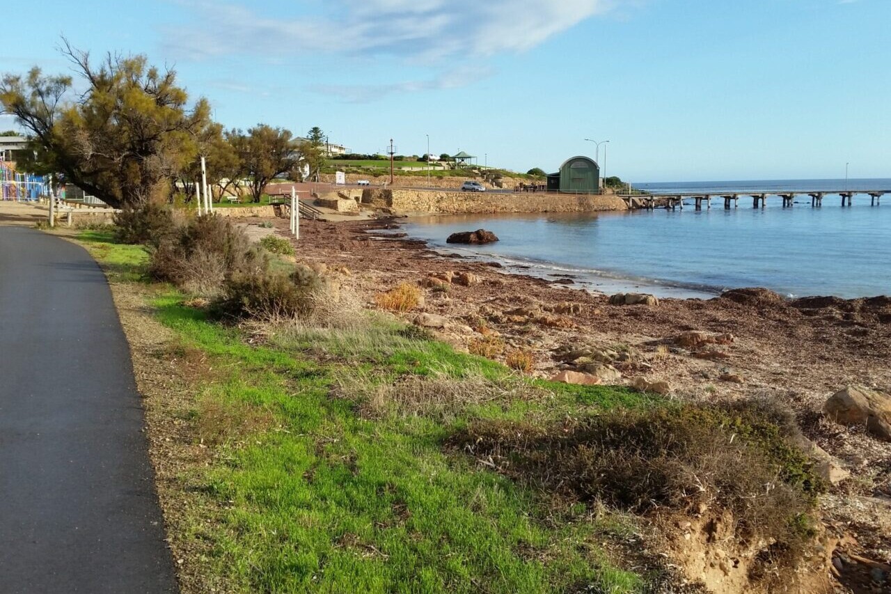 A paved pathway is next to blue water and green grass with a wooden dock and low trees in the distance.