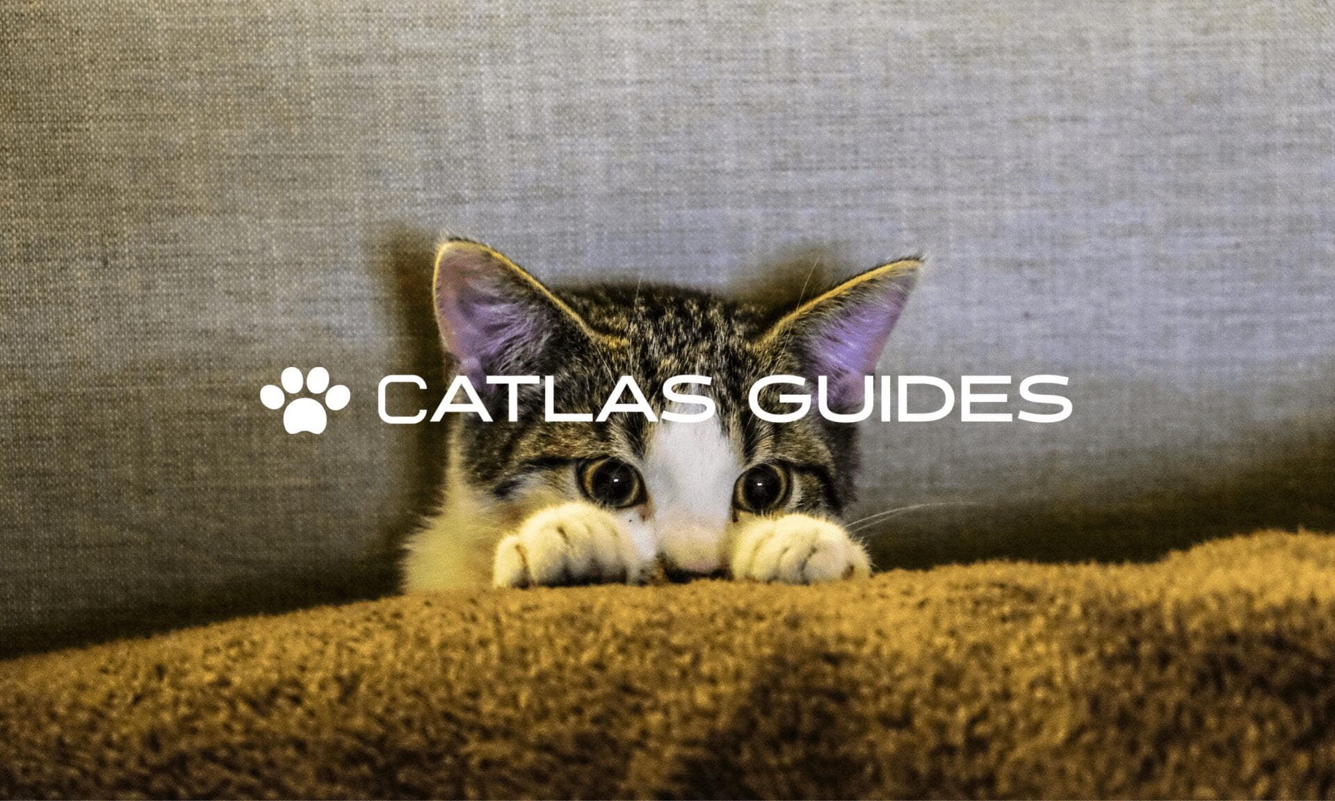 CATlas Guides April Fools Joke