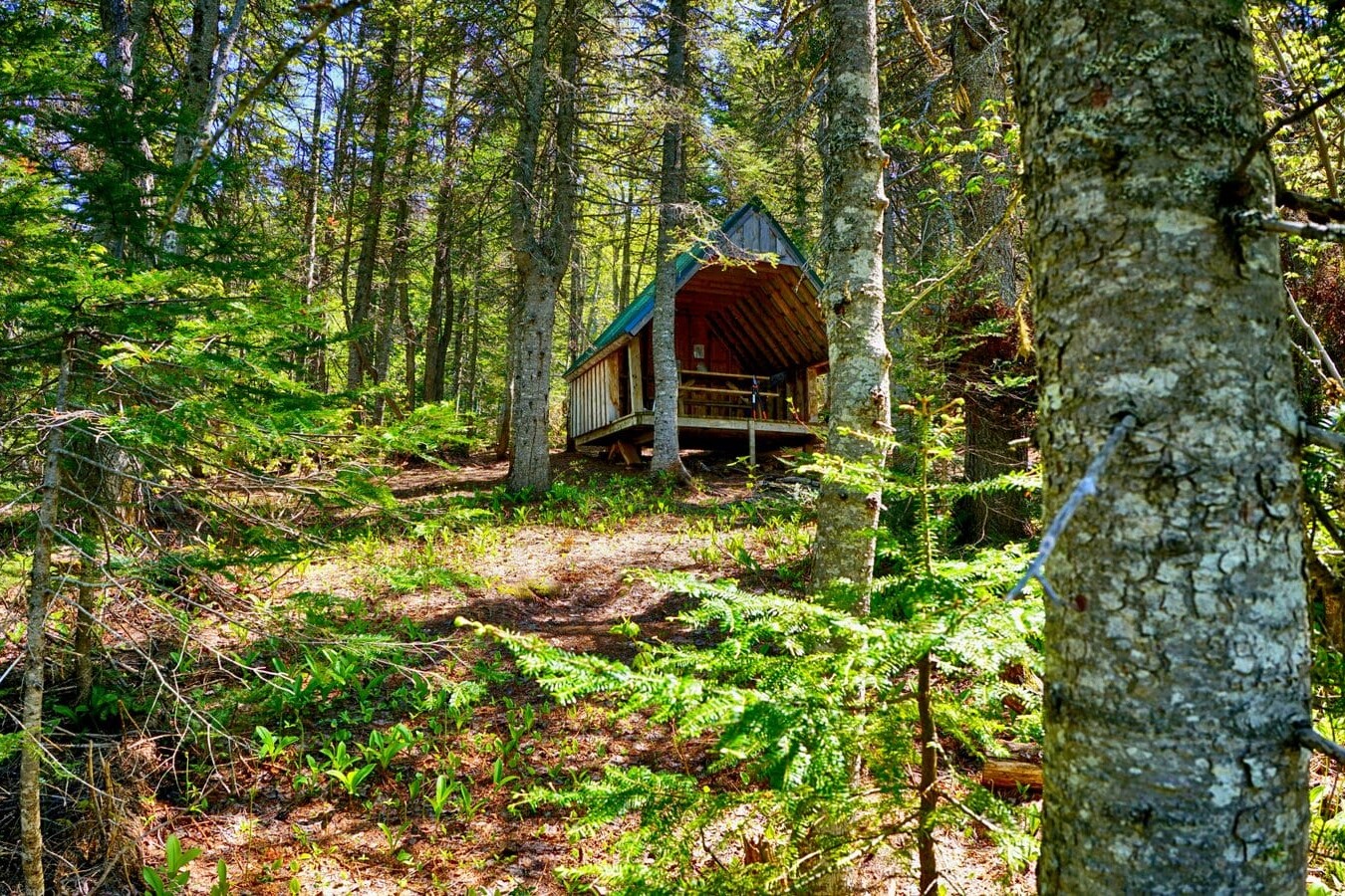 A shelter among some trees on the International Appalachian Trail
