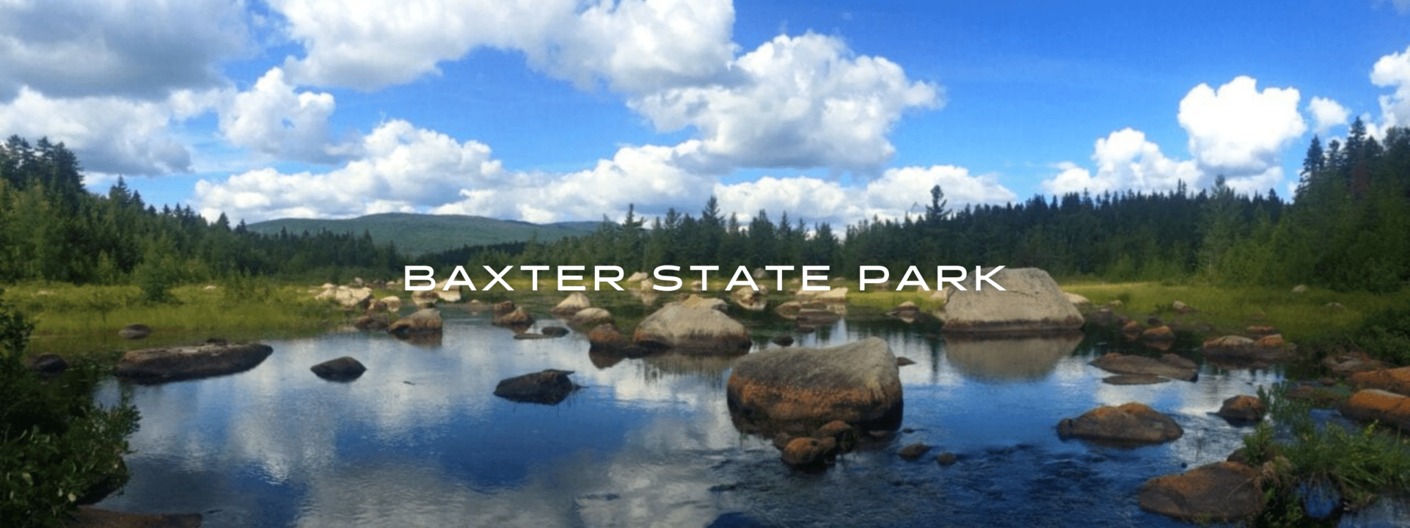 A rocky pond is situated in front of a green meadow and a green forest in front of green mountains.