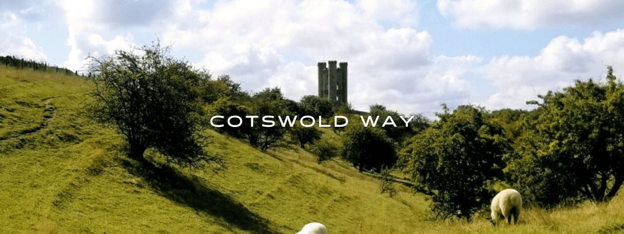 White sheep stand in a green field in front of green trees and a tall stone castle.