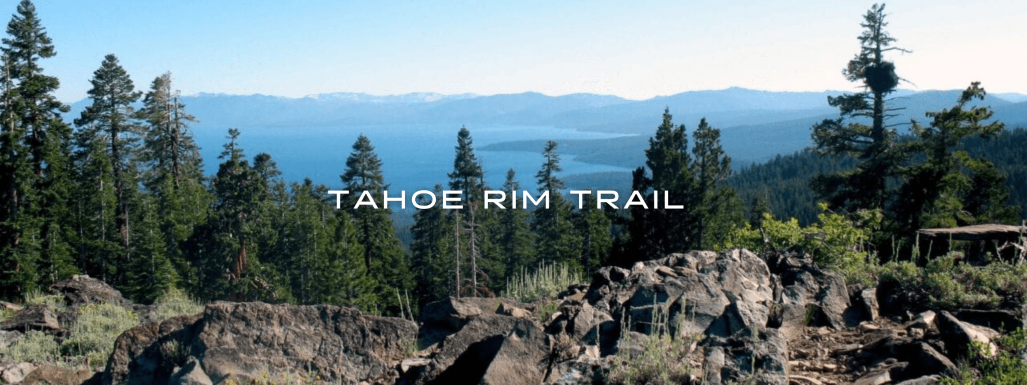 A view from a rocky outcropping on the Tahoe Rim Trail looks over Lake Tahoe through tall evergreens.