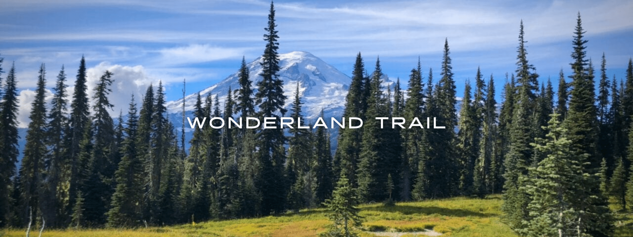 Mount Rainier is an imposing backdrop to a lush green meadow and stand of evergreens on the Wonderland Trail.