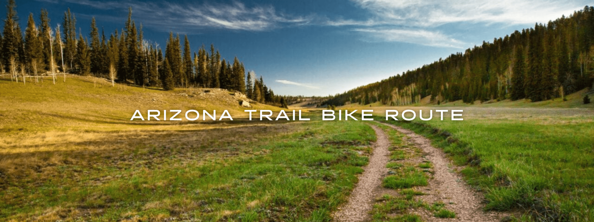 An old dirt road and trail runs through a green meadow towards a coniferous forest and blue sky.