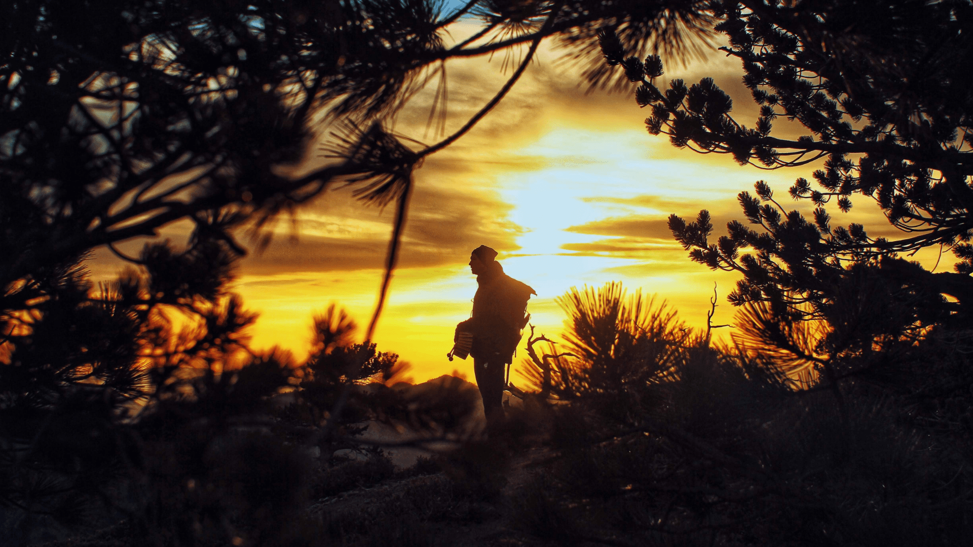 hiker standing in front of the sunset