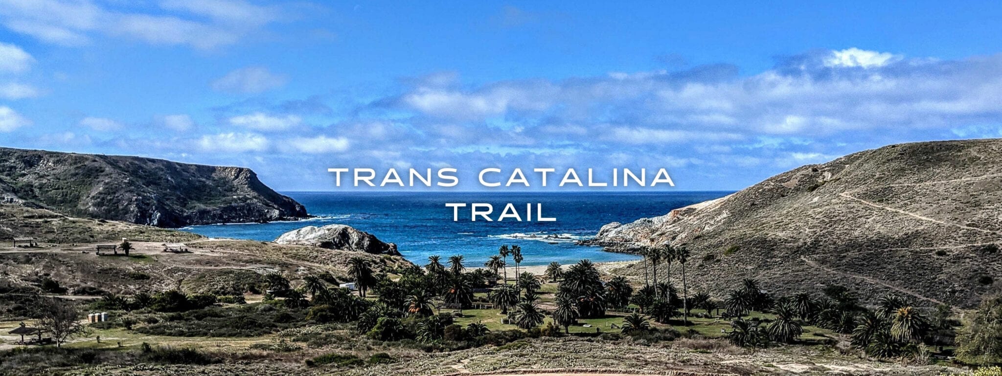 A beach in a cove with palm trees and hills surrounding the blue water and dried grass on the Trans Catalina Trail
