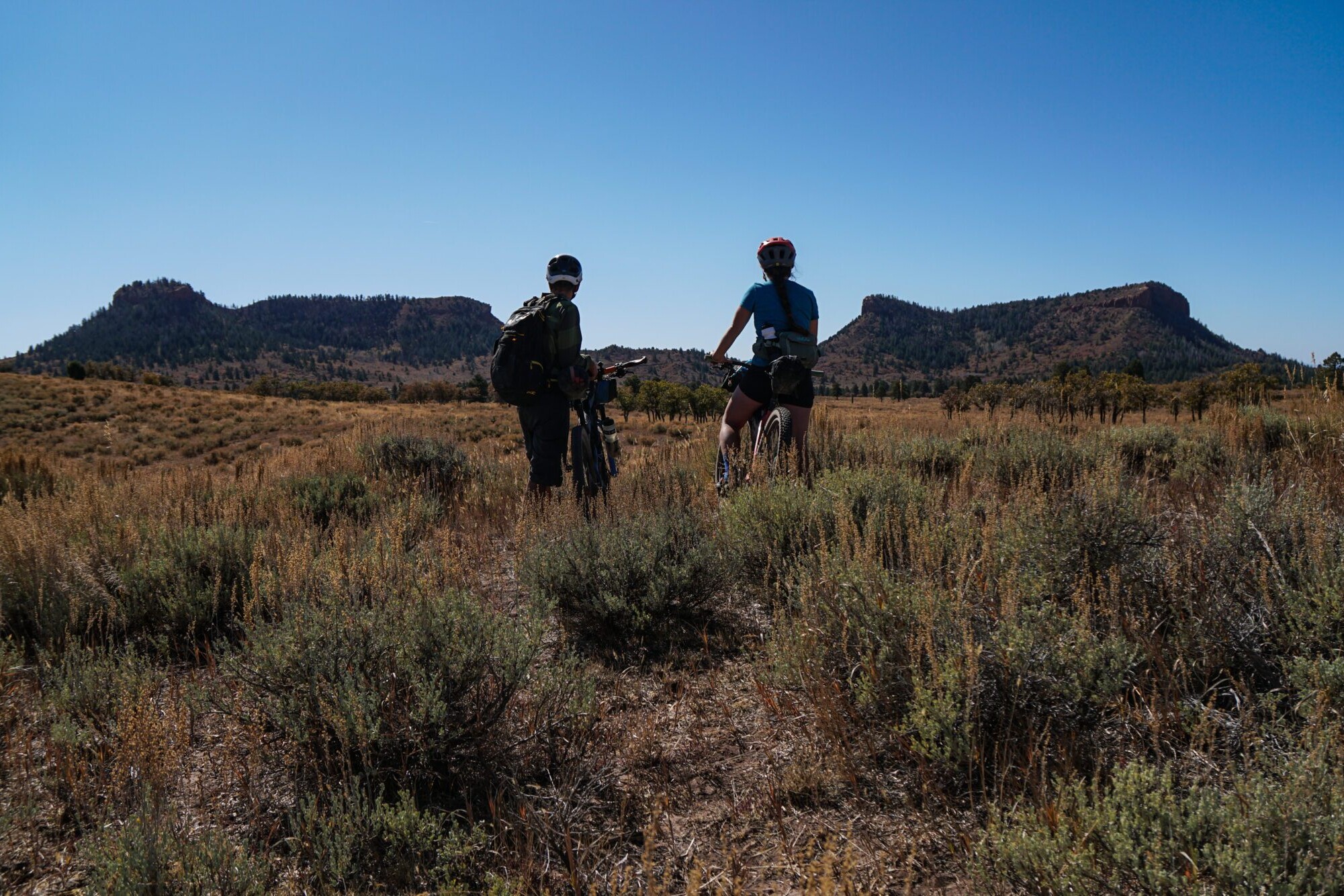 two bike packers standing on trail with their bikes