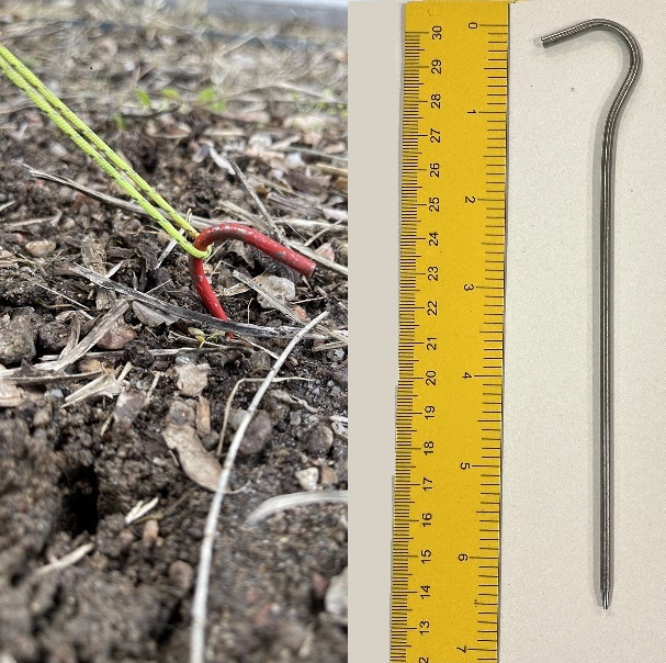 A tent stake being measured and in the ground